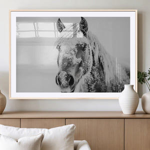 White Horse Wall Art | Ready to Hang and Framed | Winter