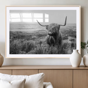 Scottish Highland Cow Wall Art | Black and White Canvas