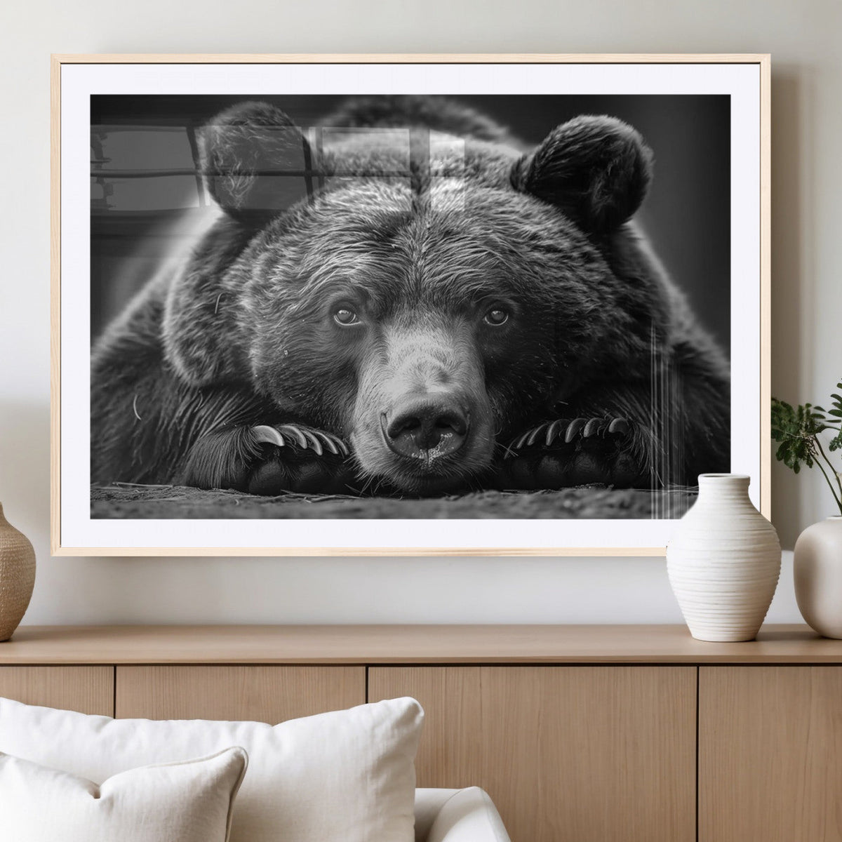 Resting Grizzly 399 Bear Canvas Print | Ready to Hang Wall