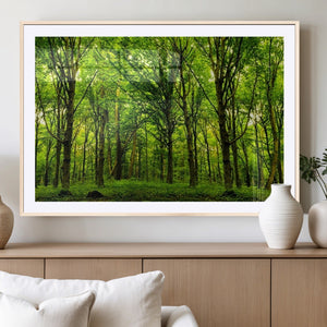 Lush Green Forest Canvas Print | 3-Panel Forest Wall Art |