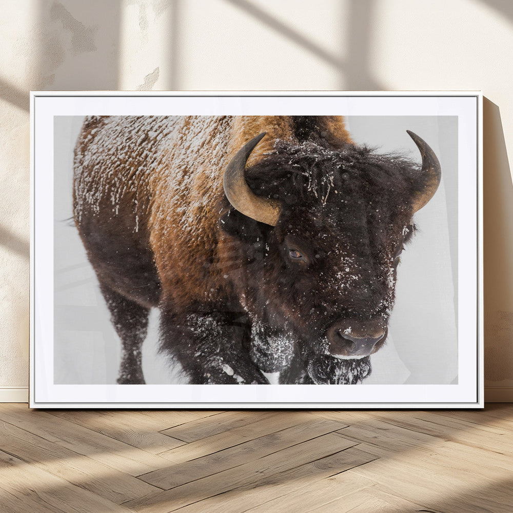 Bison Wall Art Canvas Print For Farmhouse, Wild Animal Wall