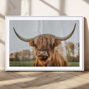 Highland Cow Animal Scottish Cattle Art Print Farmhouse Wall