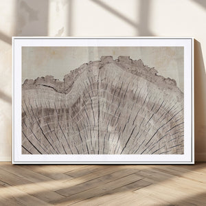 Tree Ring Wall Art Triptych, Rustic Wood Ring Canvas Print,