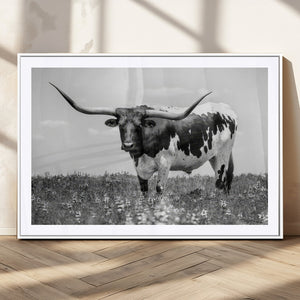 Texas Black White Highland Longhorn Cow Wall Art Canvas