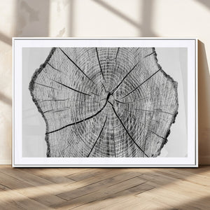 Rustic Tree Ring Wall Art Canvas Print – Framed and Ready to