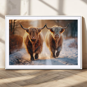 Scottish Highland Cow Horn Farm Wall Art Canvas Print