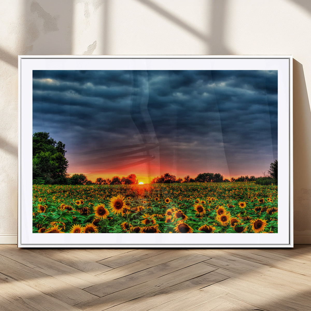 Golden Sunflower Field at Sunset – Breathtaking Sky and