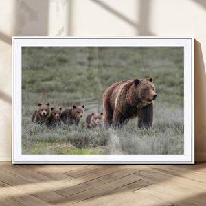 Wildlife Photography of 399 Grizzly Bear Cubs | Queen of the
