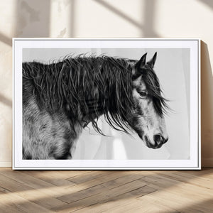 Majestic Horse Wall Art – Framed Black White Portrait Canvas