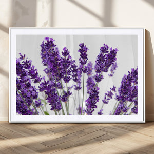 Lavender Flower Wall Art Canvas Print