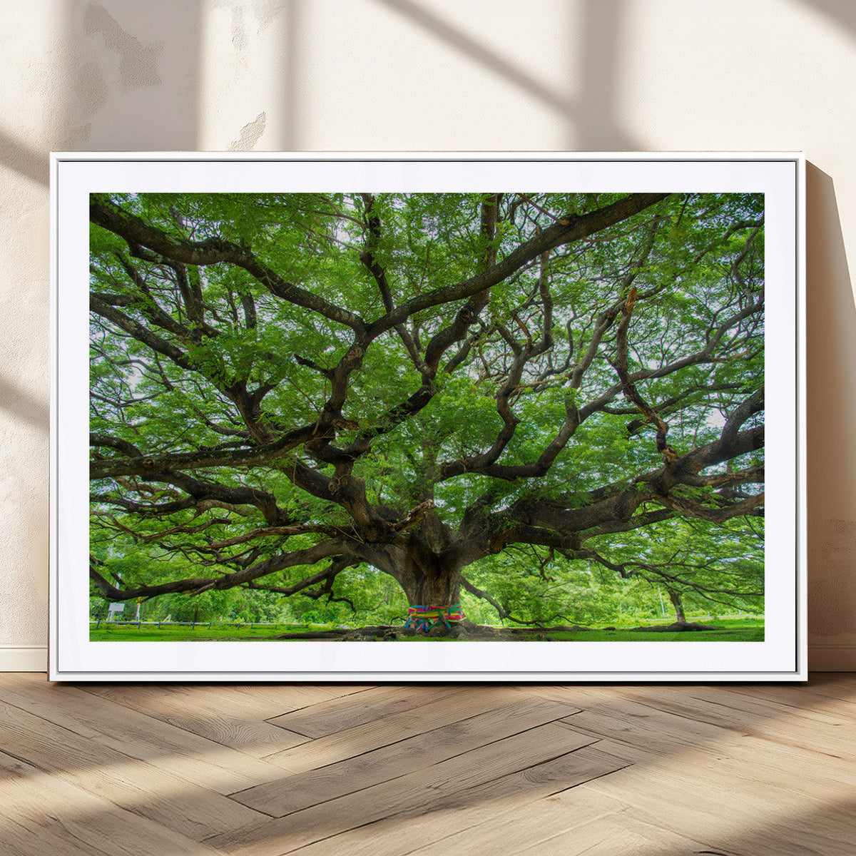 Angel Oak Tree Wall Art Canvas Print – Framed Majestic