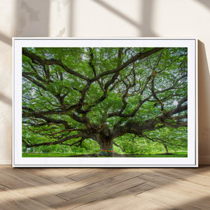 Angel Oak Tree Wall Art Canvas Print – Framed Majestic