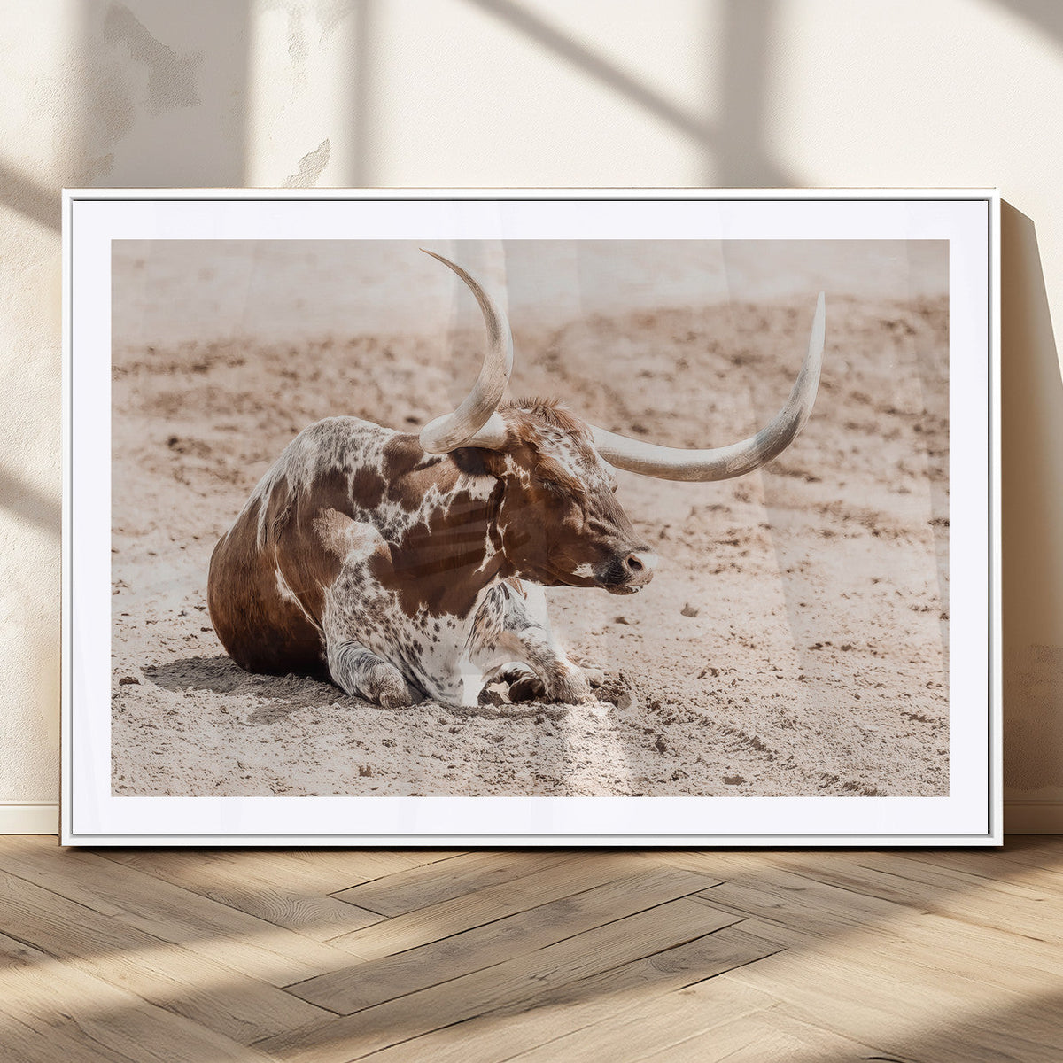 Texas Longhorn Wall Art Canvas Print – Framed Resting Bull