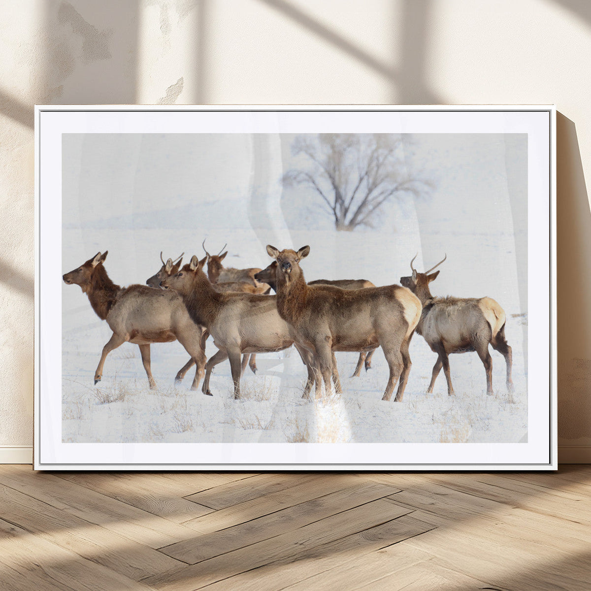 Winter Elk Scene Wall Art Canvas Print – Framed Wildlife