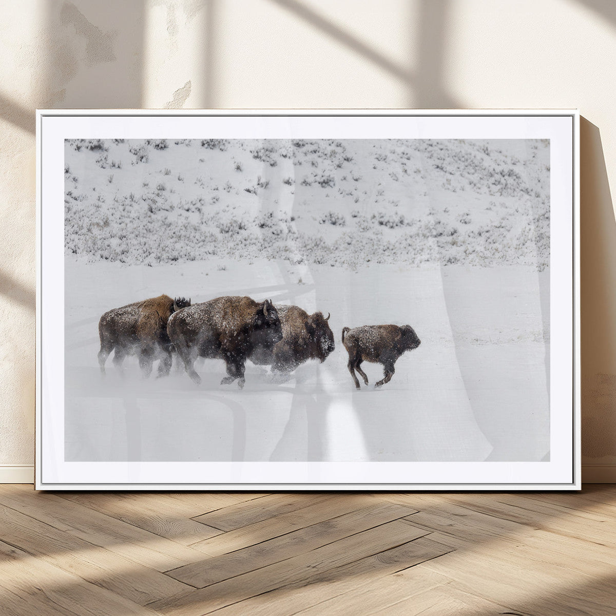 Bison Herd Decor Wall Art Canvas Print – Framed Snowy Bison
