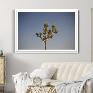 Joshua Tree Wall Art Canvas Print – Framed Southwestern