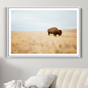 Buffalo Wall Art Canvas Print – Framed Western Wildlife
