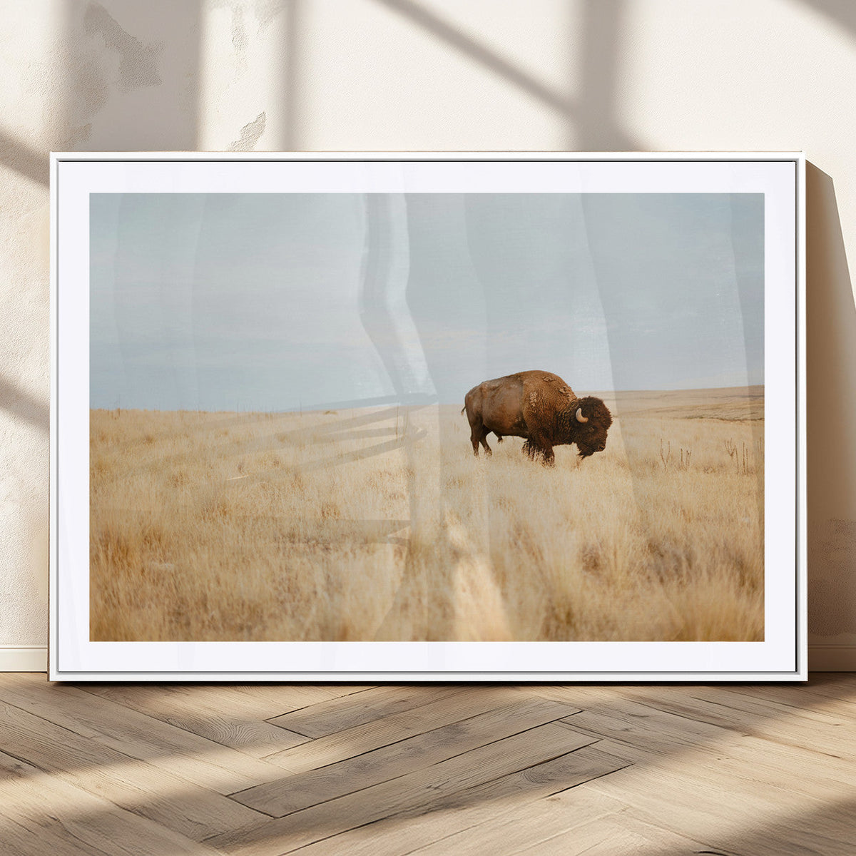Buffalo Wall Art Canvas Print – Framed Western Wildlife