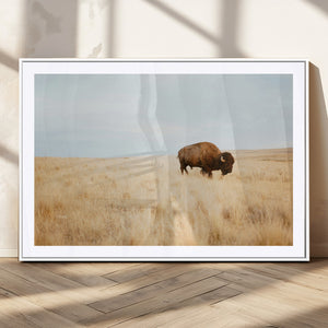 Buffalo Wall Art Canvas Print – Framed Western Wildlife
