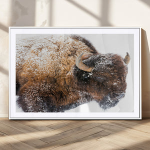 Snowy Buffalo Wall Art Canvas Print – Framed Rustic Lodge