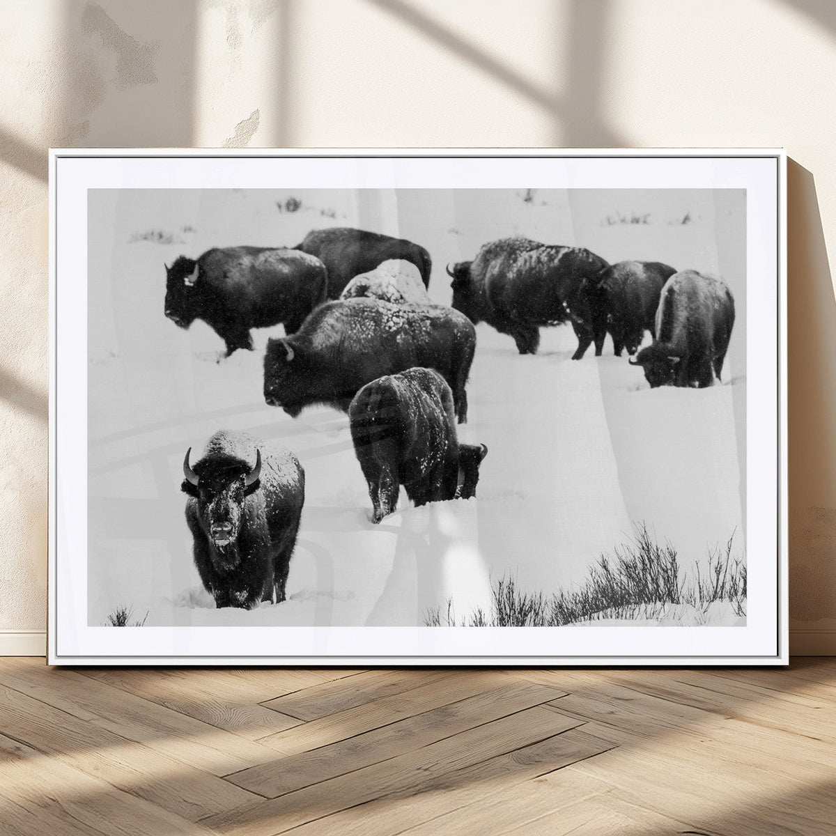 Buffalo Herd Wall Art Canvas Print – Framed Black and White