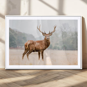 Vintage Wildlife Wall Art Canvas Print – Misty Landscape