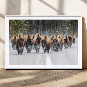American Bison Herd Wall Art Canvas Print – Powerful Winter