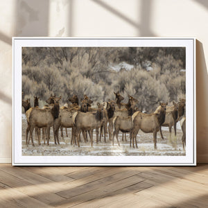 Majestic Elk Herd Winter Canvas, Elk Herd Winter Landscape