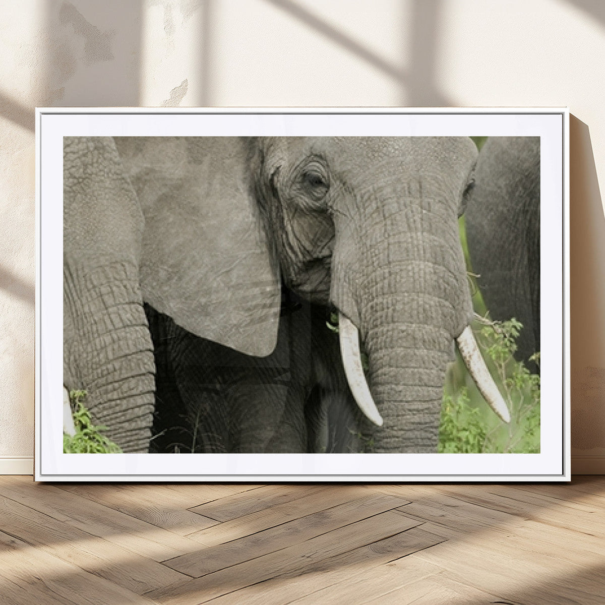 Wild Elephant Wall Art Canvas Print