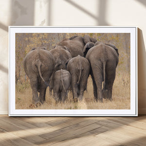 Wild Elephant Wall Art Canvas Print
