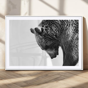 Black and White Grizzly 399 Bear Canvas Print Wall Art |