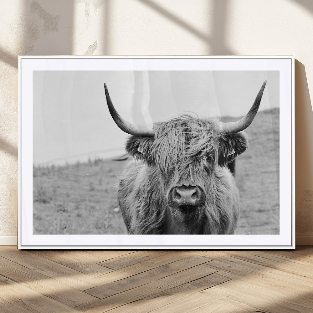 Newfoundland Cow Art Wall Art, Black White Cow Art Wall Art