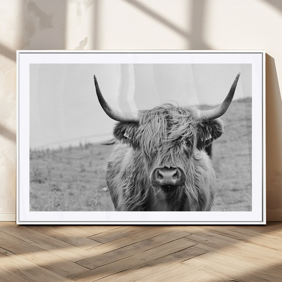 Newfoundland Cow Art Wall Art, Black White Cow Art Wall Art
