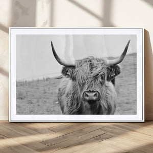 Newfoundland Cow Art Wall Art, Black White Cow Art Wall Art