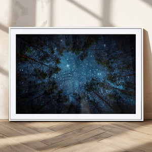 Forest and Stars Wall Art Canvas Print