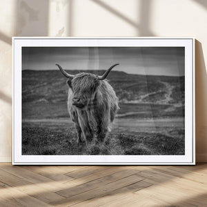 Fluffy Cattle Wall Art Print, Highland Cow Canvas, Framed