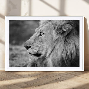 African Lion Wall Art Canvas Print – Majestic Wildlife