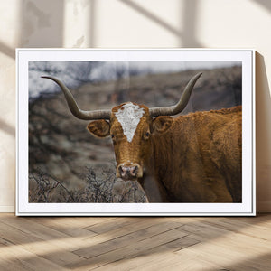 Texas Longhorn Canvas Wall Art - Longhorn Steer Canvas Wall
