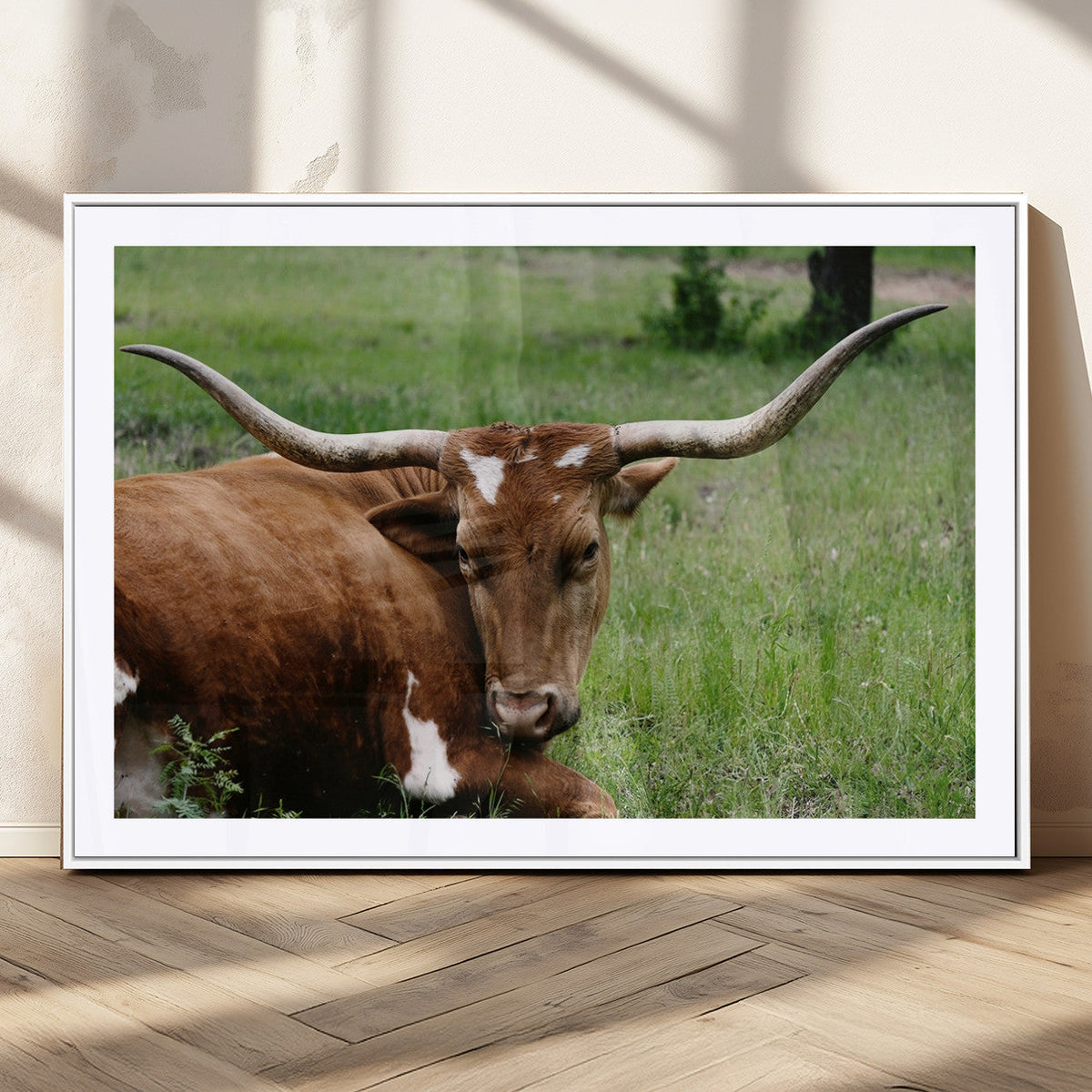 Longhorn Cow Animal Wall Art Canvas Print
