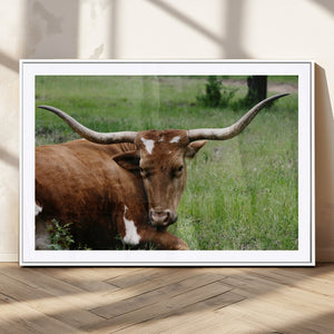 Longhorn Steer Canvas Wall Art – Rustic Nature Triptych