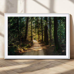 Sunlit Forest Pathway Canvas Print | 3 Panel Large Nature