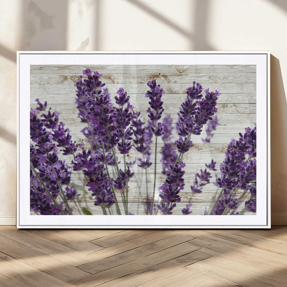 Lavender Herb Wall Art Canvas Print