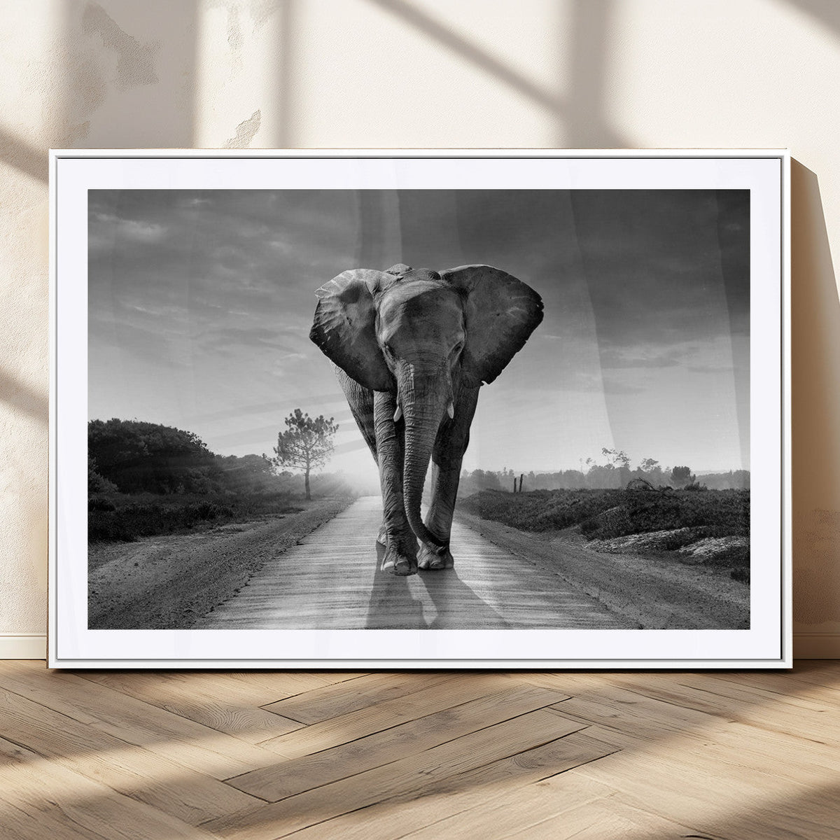 Black and White Elephant Wall Art Canvas Print