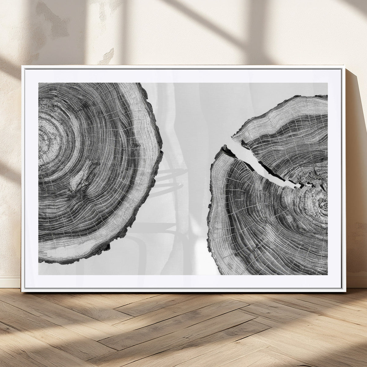 Abstract Large Tree Rings – Minimalist Black and White Wood
