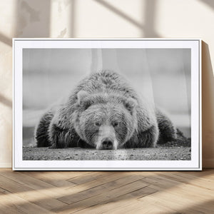 Resting Grizzly Bear Wall Art Canvas Print – Majestic Lazy