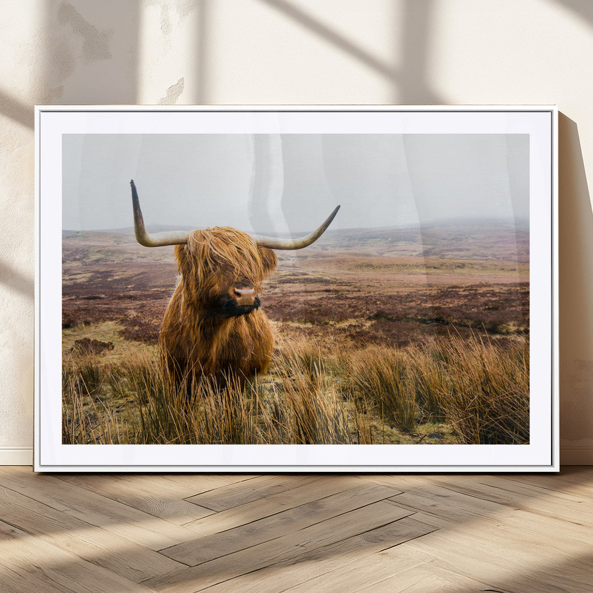 Scottish Highland Cow Canvas Wall Art – Rustic Farmhouse