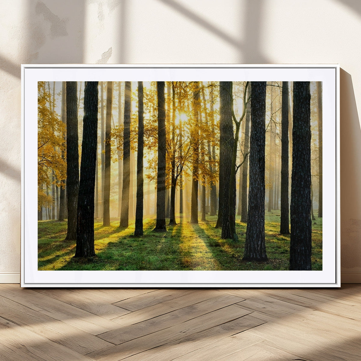 Sunlit Forest Wall Art Canvas Print – Large Framed Woodland