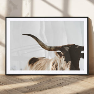 Texas Longhorn Wall Art Canvas Print | 3-Panel Large