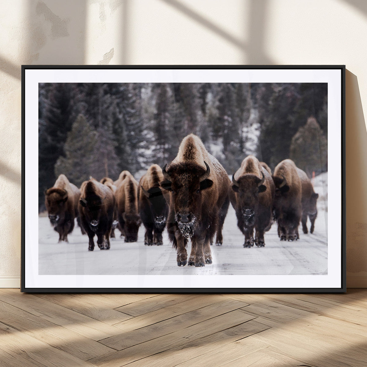 Bison Wall Art Canvas Print- Bison Herd Canvas Wall Art –