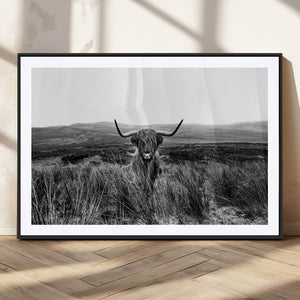 Black and White Highland Cow Canvas Wall Art, Longhorn